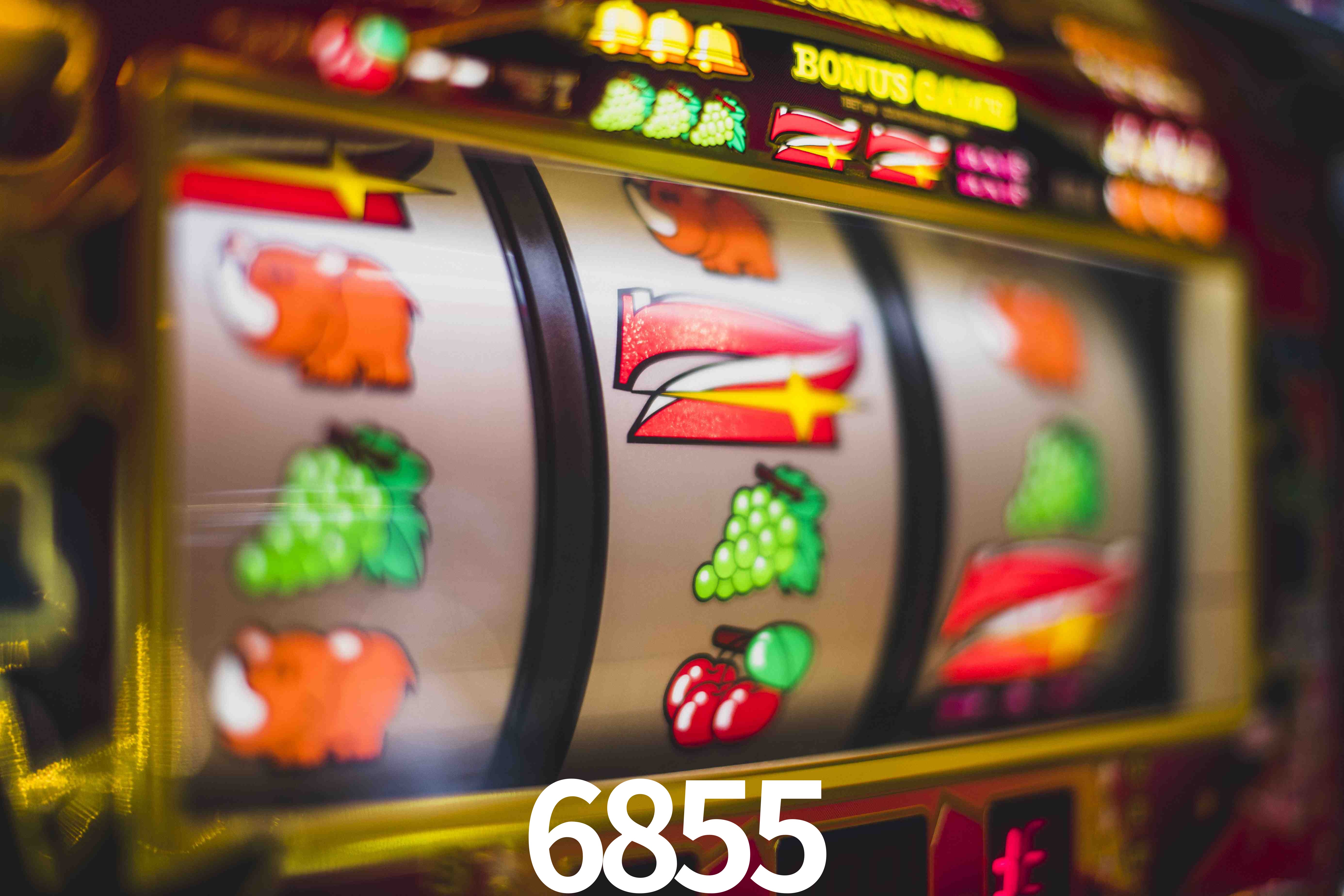 Sports Statistics 6855